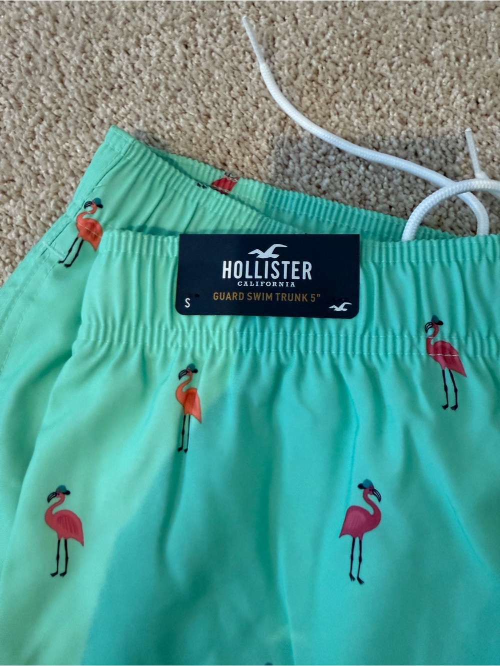 Hollister Kids Mint Green Flamingo Swim Shorts